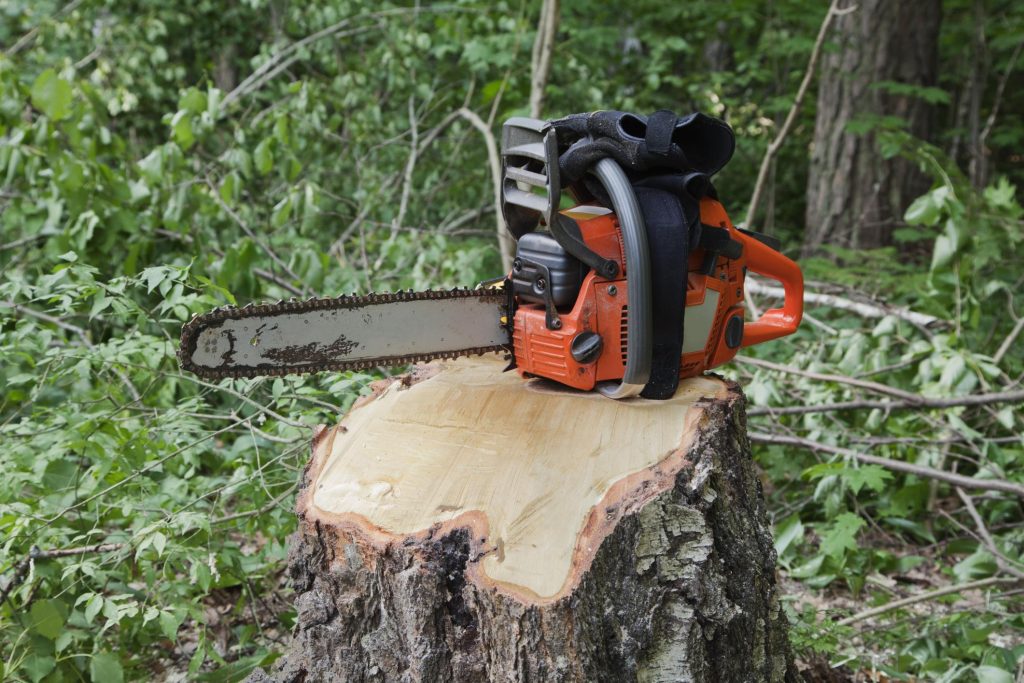 affordable stump grinding