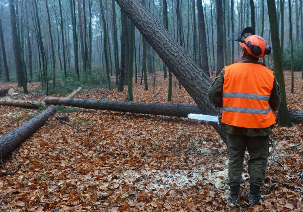 affordable land clearing and site prep